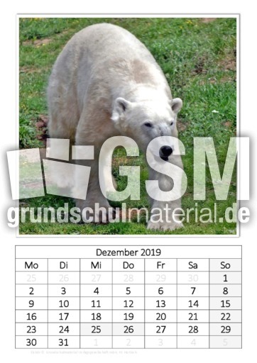 Dezember_Eisbär_1.pdf